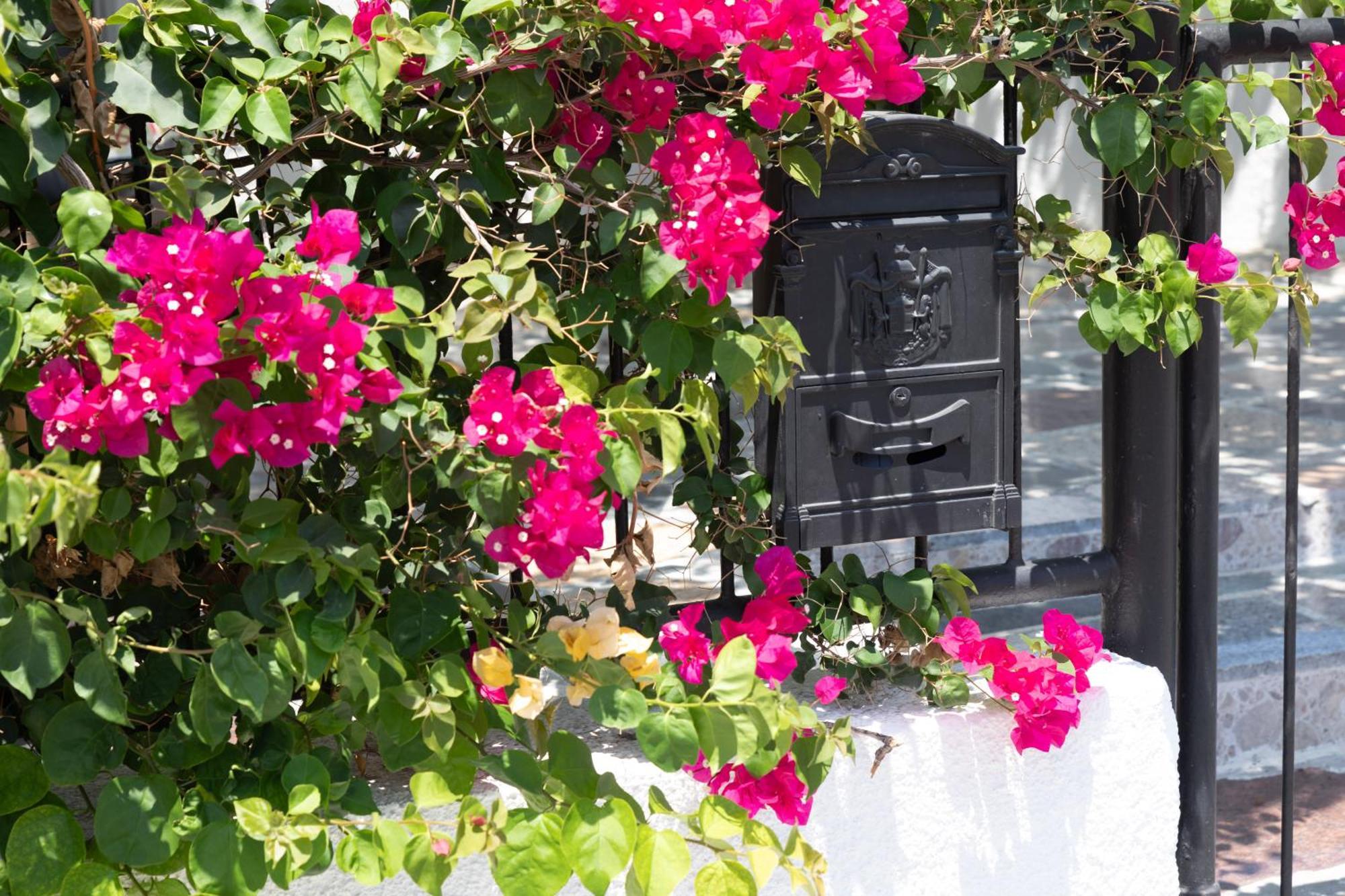 Limassol Akrotiri Beach Vine Cottage A Exterior photo